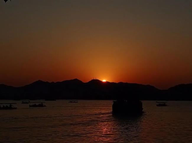 图片12.png 图片12.png